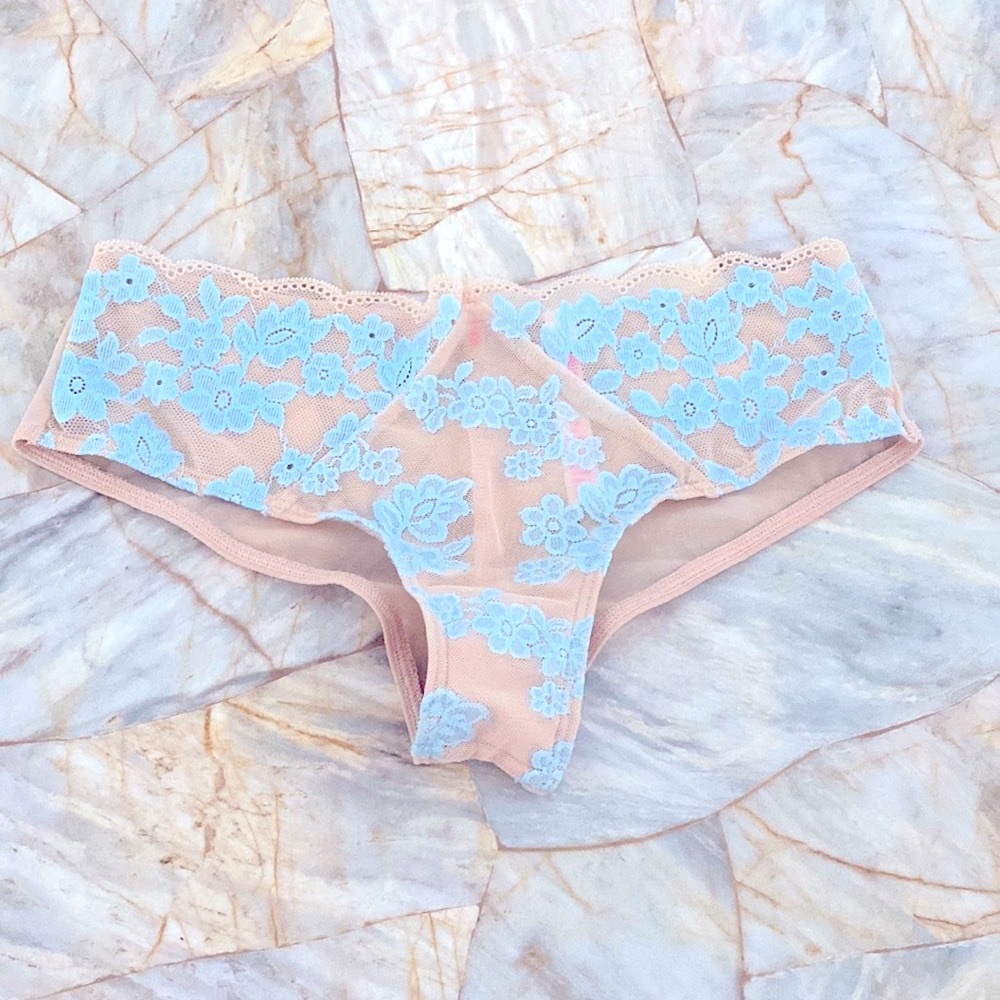 Pink Victoria’s Secret Eyelash Lace Cheeky Panty Beige /Blue Small